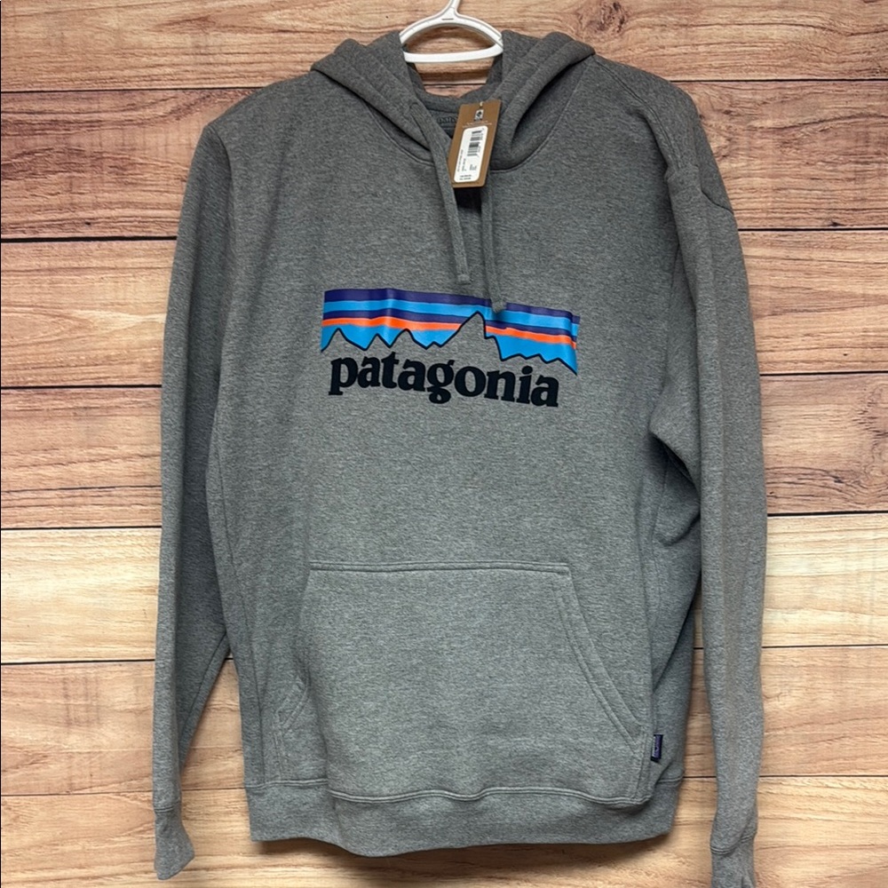 Patagonia Men's Gray Hoodie with Colorful Logo